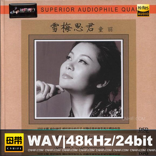 童丽 – 雪梅思君