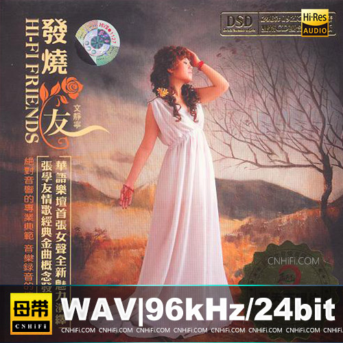 文静宁 – 发烧友