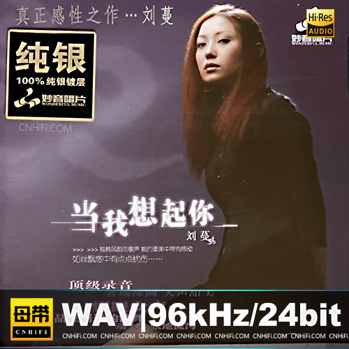 刘蔓 – 当我想起你