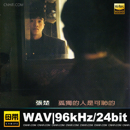 张楚 – 孤独的人是可耻的