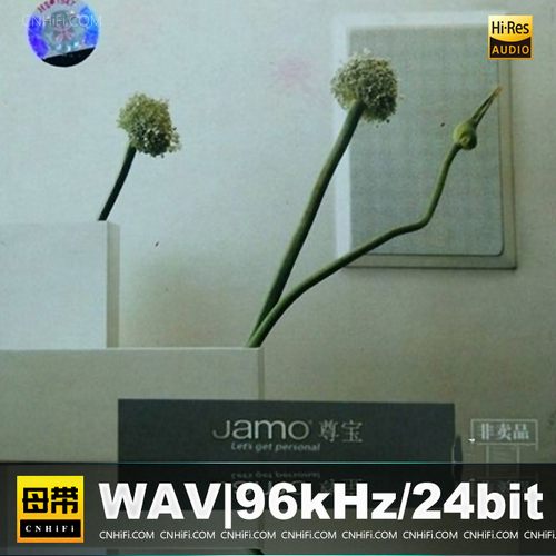 群星 – 尊宝试音碟