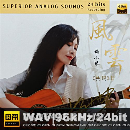 梅小琴 共鸣‖风云