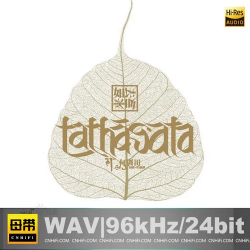 何训田 – 如来如去