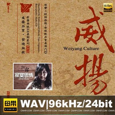 孙露 – 寂寞思情