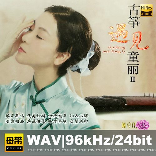 童丽 古筝遇见童丽2