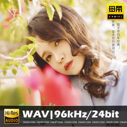 张玮伽 梦里水乡