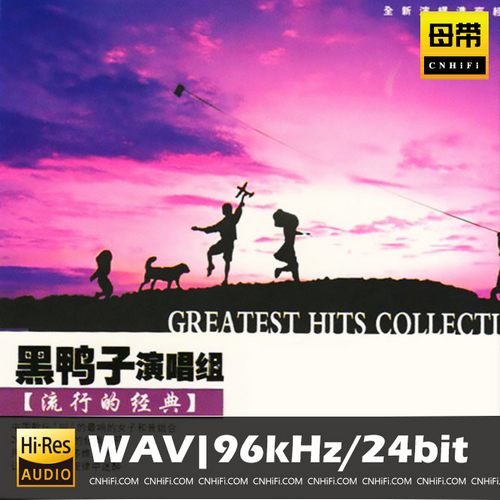 黑鸭子 流行的经典
