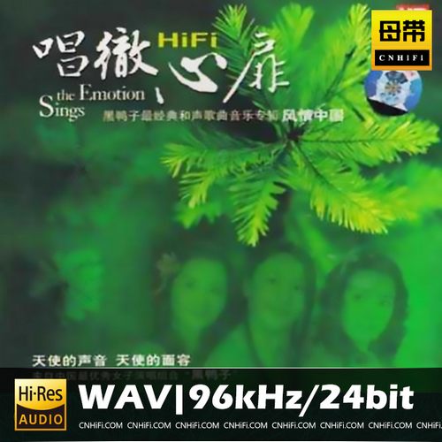 黑鸭子 唱彻心扉