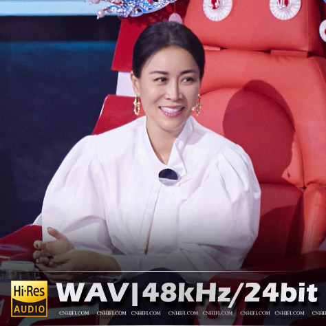 那英（精选合集）