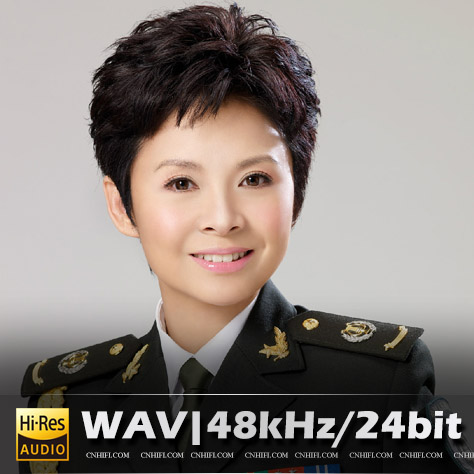 董文华（精选合集）