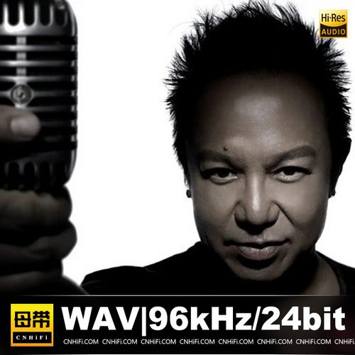 黄大炜（WAV母带合集）