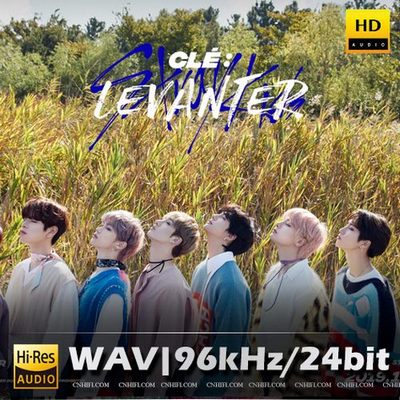 Stray Kids（精选合集）