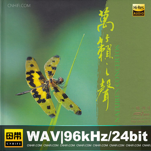 FIM一听钟情  -《万籁之声》