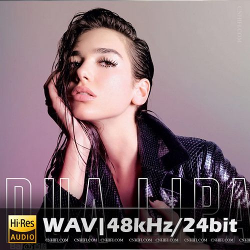 Dua Lipa（精选合集）