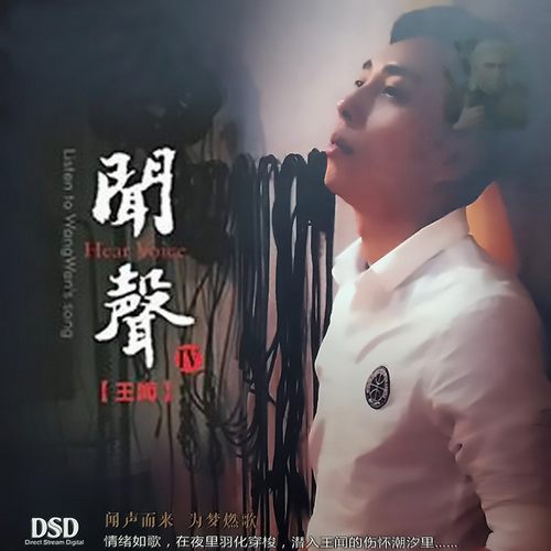 王闻  闻声Ⅳ DSD