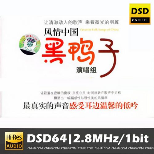 黑鸭子《风情中国》