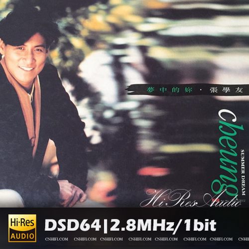 张学友 梦中的你