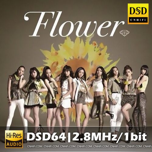 FLOWER 太陽と向日葵