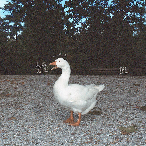 窦靖童 (Leah Dou) – 春游