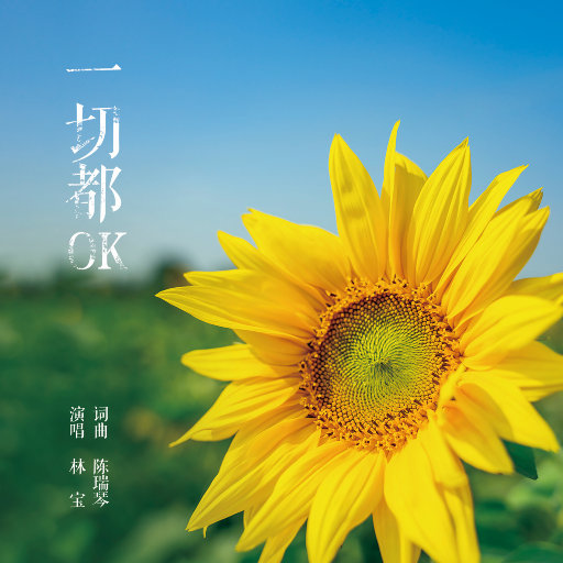 林宝 – 一起都OK
