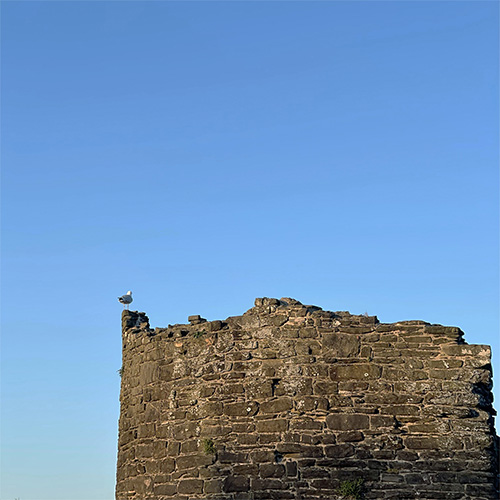 盘尼西林 – 岛与黎明