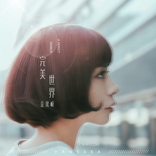金玟岐 – 完美世界