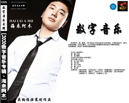 《2020数字音乐专辑》