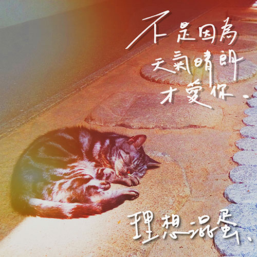 理想混蛋 – 不是因为天气晴朗才爱你 – Single