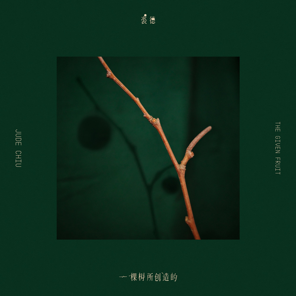 裘德 – 一棵树所创造的