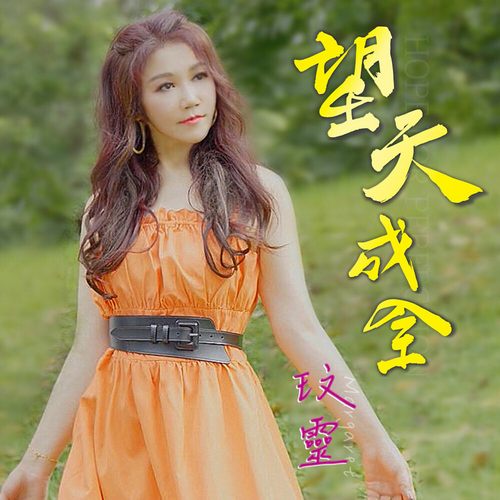 望天成全