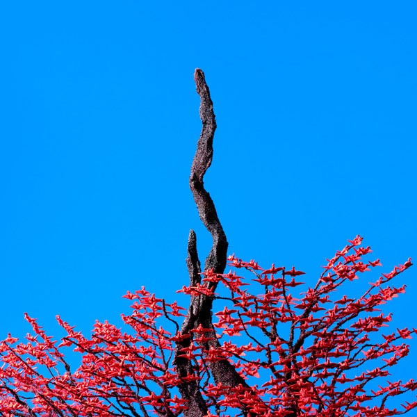 [单曲]ヨルシカ – Snake