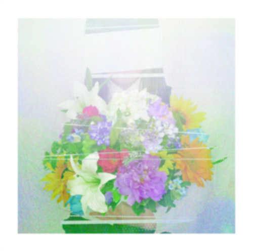 ヨルシカ – 夏草が邪魔をする