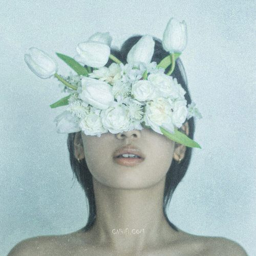 Leina – tulip