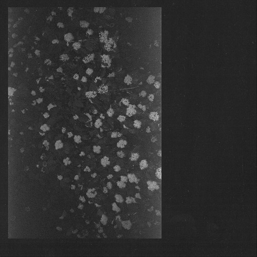 Motorama – Poverty