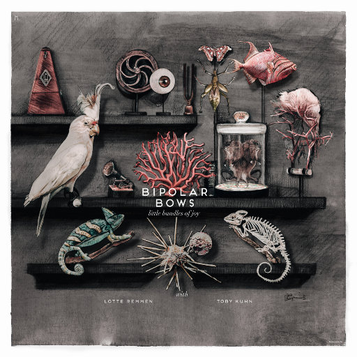 小束的欢乐 (Little Bundles of Joy)