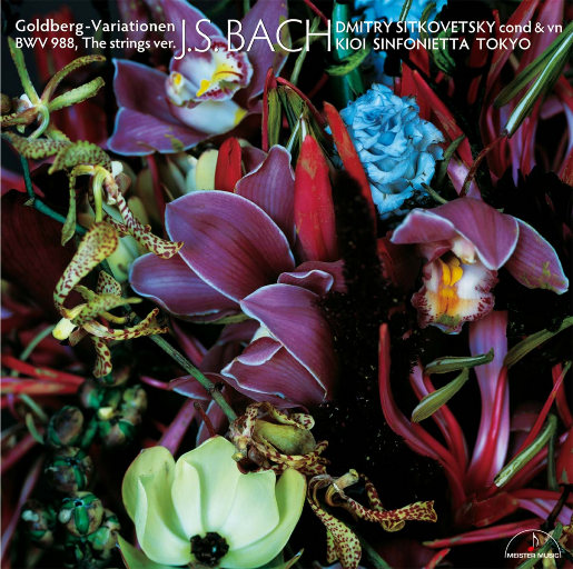 巴赫: 哥德堡变奏曲 BWV988 (弦乐重奏版)