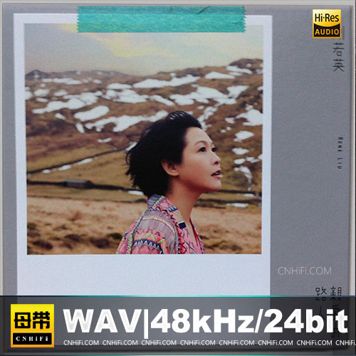 刘若英 – 亲爱的路人