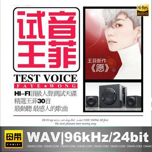 试音王菲·愿