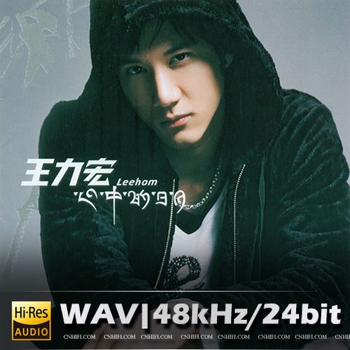 王力宏-心中的日月