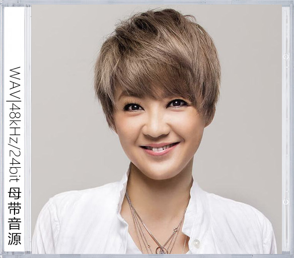 陈慧娴（精选合集）