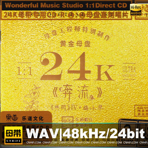 梅小琴 – 共鸣IV·奔流 [1：1黄金母版直刻] 限量版