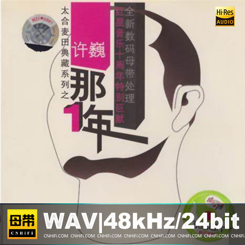 许巍 – 那一年