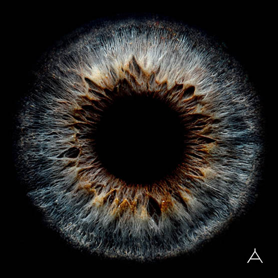 林宥嘉 – Apples of Thy Eye