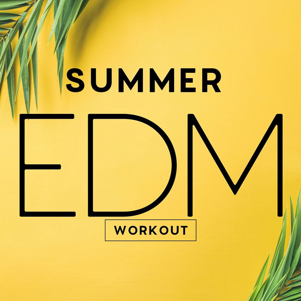 Summer EDM Workout