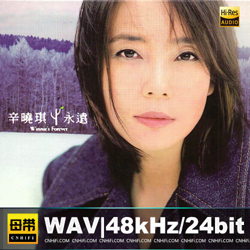 辛晓琪  – 永远