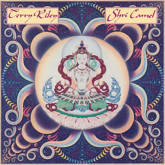 Shri Camel