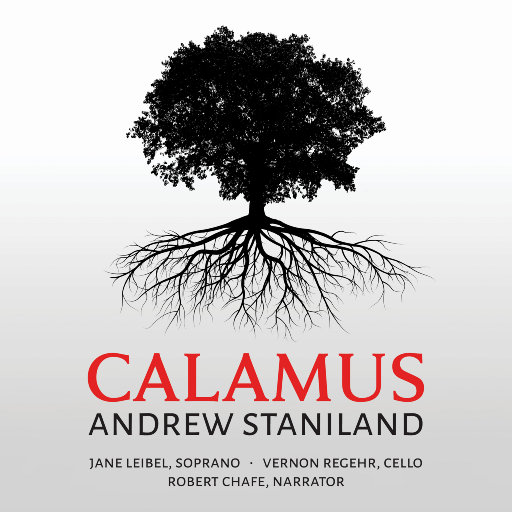 香蒲 (Calamus)