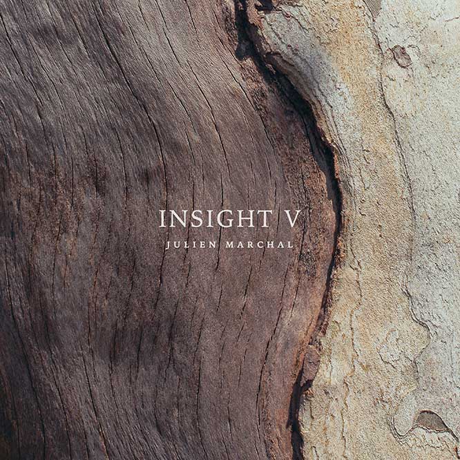 Julien Marchal: Insight V