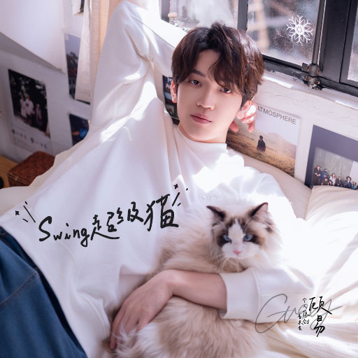 Swing超级猫