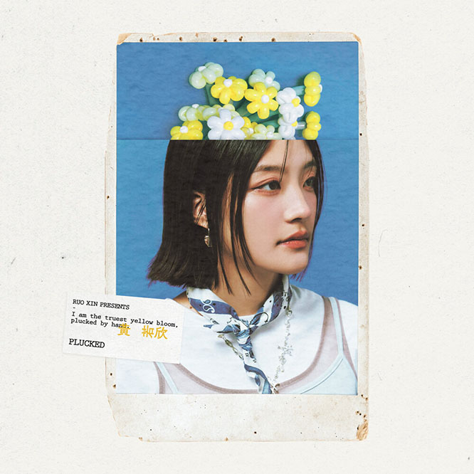黃若欣  – 黃花 Plucked